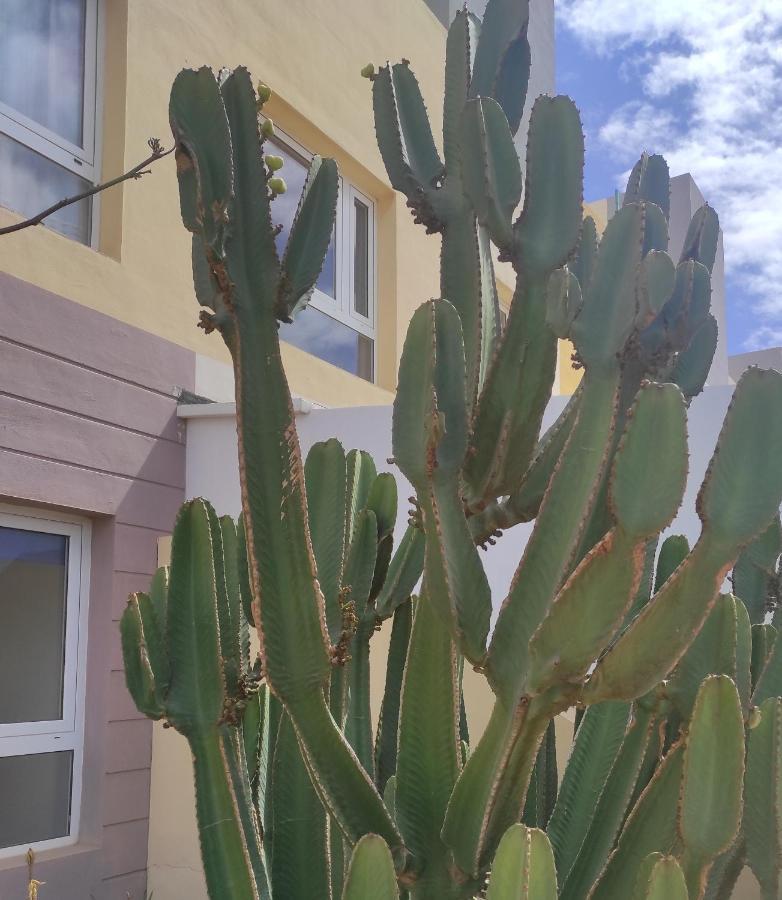 Apartamento Con Azotea Privada #Thefunnycactus Leilighet Puerto del Rosario  Eksteriør bilde